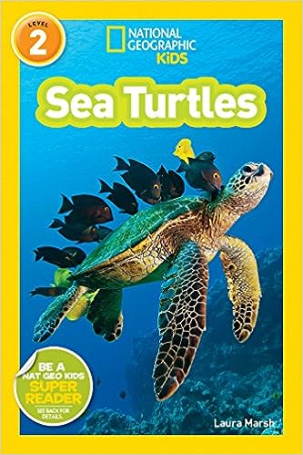 turtle-gifts-for-kids-sea-turtles-educational-book