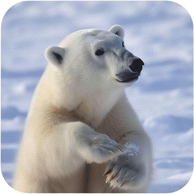 Polar Bear Leather Coasters