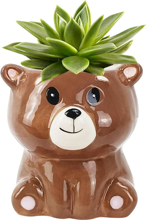 kitchen-bear-gifts-bear-themed-ceramic-planters