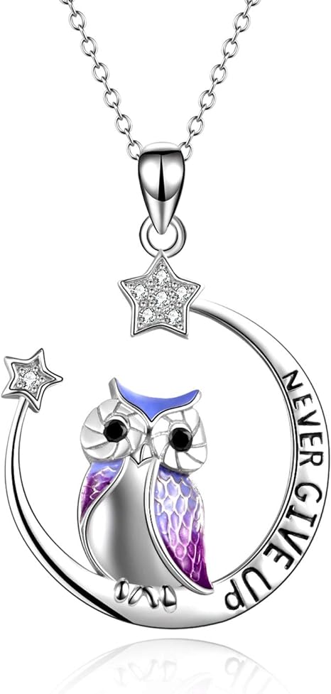 owl-jewelry-for-her-inspirational-silver-owl-necklace