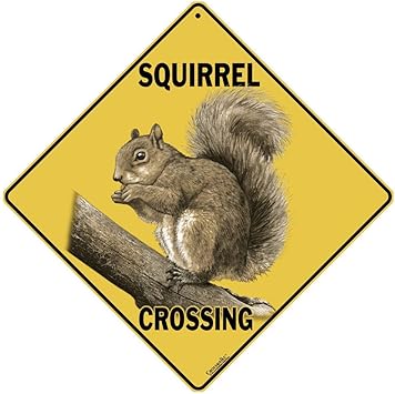squirrel-lovers'-gift-ideas-squirrel-crossing-aluminum-sign