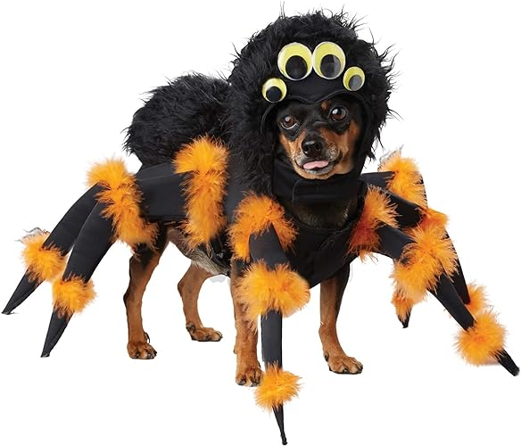 pet-halloween-costumes-hocus-pocus-witch-dog-costume