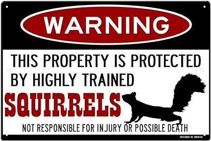 squirrel-lovers'-gift-ideas-funny-squirrels-themed-metal-sign