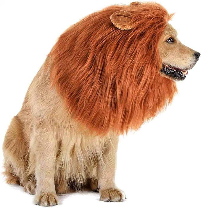 pet-halloween-costumes-lion-mane-dog-costume