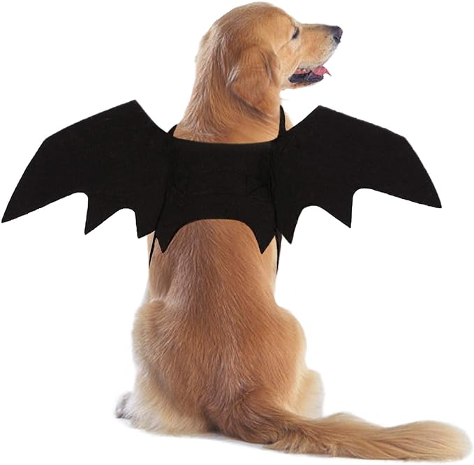 pet-halloween-costumes-cool-bat-wings-pet-costume