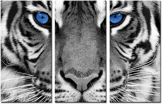 tiger-gift-guide-blue-eyed-tiger-canvas-art