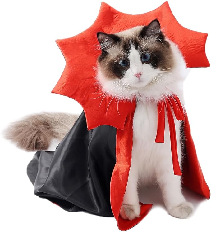 pet-halloween-costumes-pet-vampire-halloween-cloak