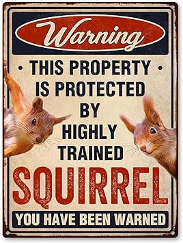 squirrel-lovers'-gift-ideas-aluminum-squirrel-yard-sign
