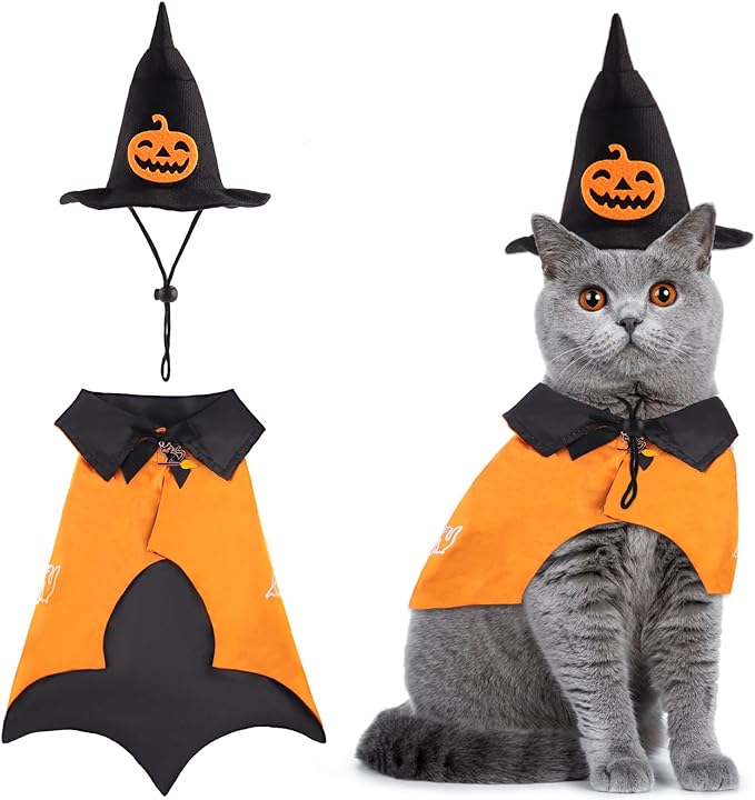 pet-halloween-costumes-halloween-wizard-cat-costume