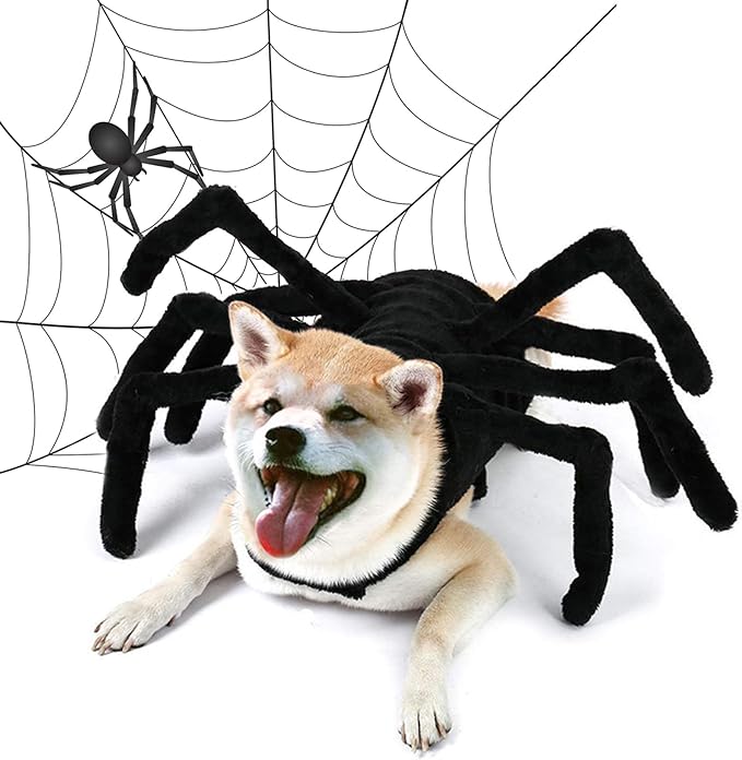 pet-halloween-costumes-creepy-spider-dog-costume