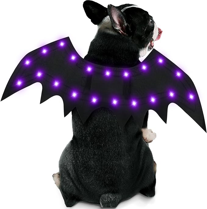 pet-halloween-costumes-led-light-up-bat-wings-dog-costume