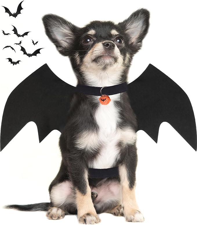 pet-halloween-costumes-dog-bat-wing-halloween-costume