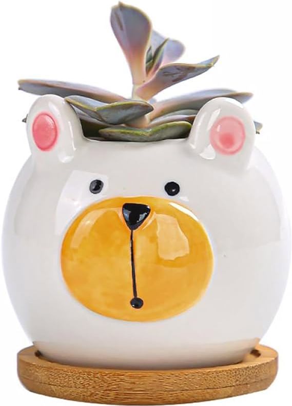 kitchen-bear-gifts-bear-shaped-succulent-pot