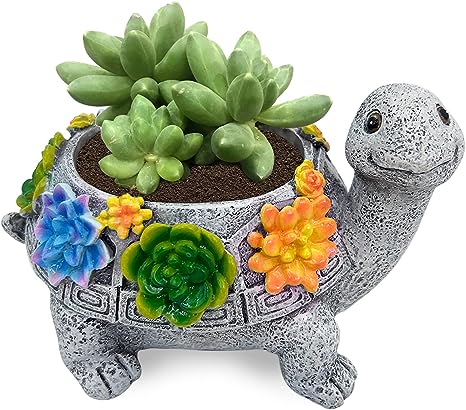 gifts-for-turtle-lovers-turtle-shaped-planter