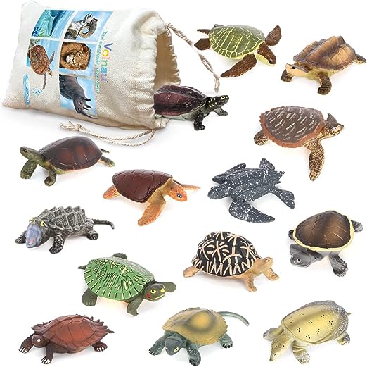 turtle-gifts-for-kids-educational-mini-turtle-figures