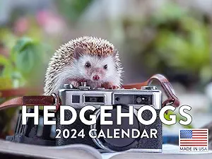 hedgehog-gifts-ideas-hedgehog-2024-wall-calendar