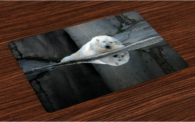 Bear-Themed Placemats Set