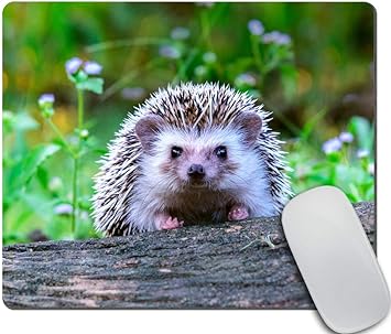 hedgehog-gifts-ideas-hedgehog-gaming-mouse-pad